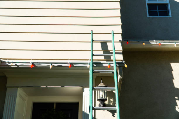 Best Siding Painting and Refinishing  in Nebo, NC